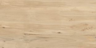 Керамогранит Buono Ceramica Forest Sweet Home Matt арт. FVL4511M (60x120) матовый